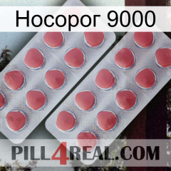 Носорог 9000 19